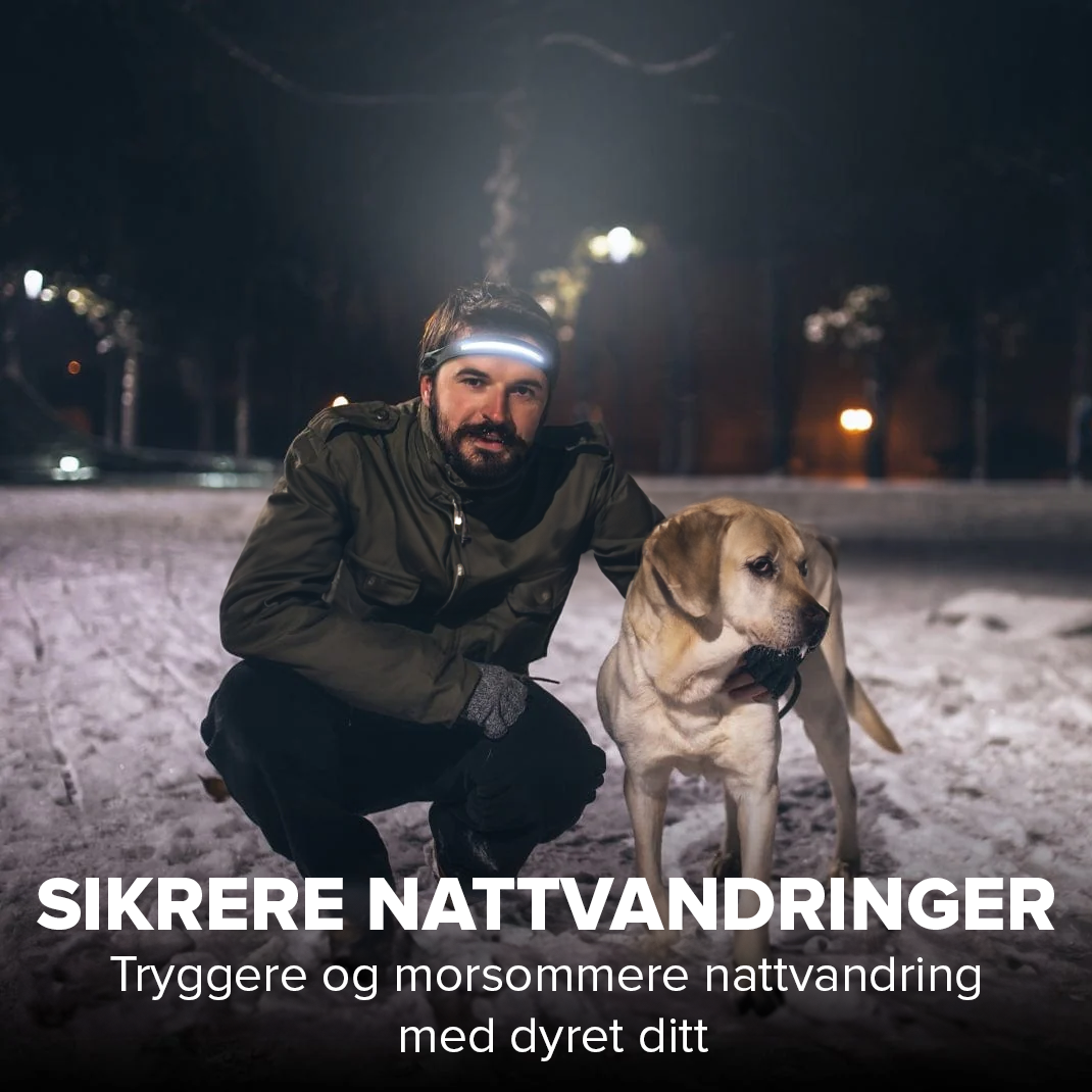 LumaBeam™ - Multifunksjonell 230° LED-hodelykt - NordKlover