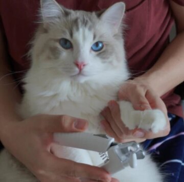 PawTrim™ 2-i-1 plejeværktøj