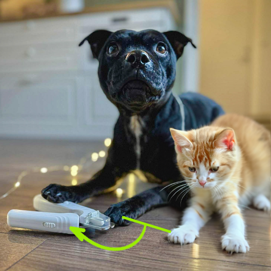 PawTrim™ 2-i-1 plejeværktøj