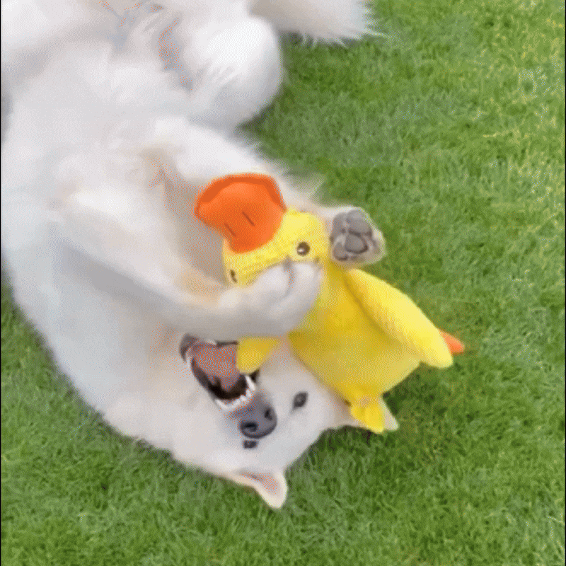 HappyDuck – Anti-stress krammelegetøj