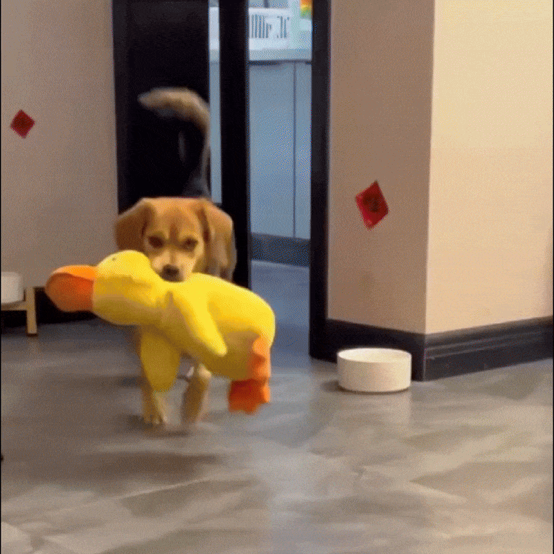 HappyDuck – Anti-stress krammelegetøj