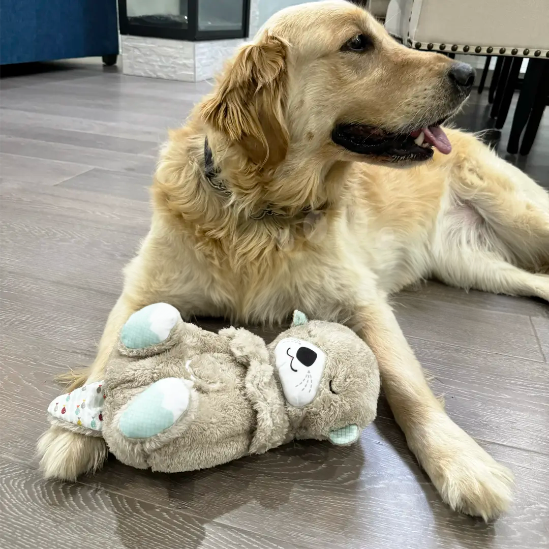 CalmPUP™ - Beroligende kosedyr mot stress - NordKlover